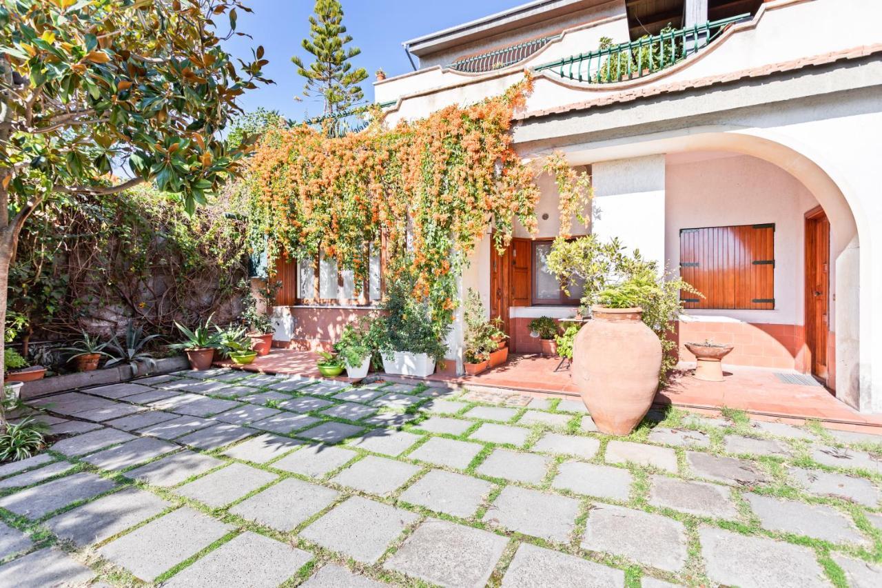 Apartment Luminoso Nuovalucello Apart- Giardino E Parcheggio Privato *